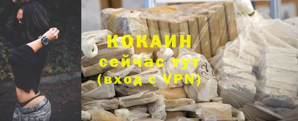 СК Белокуриха