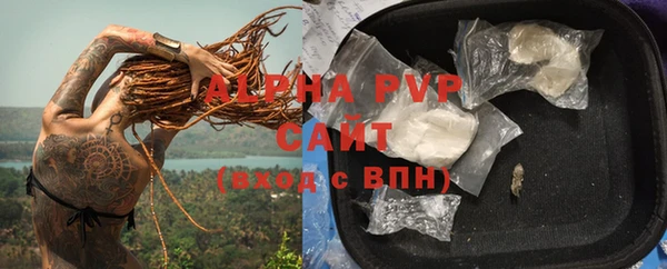 СК Белокуриха